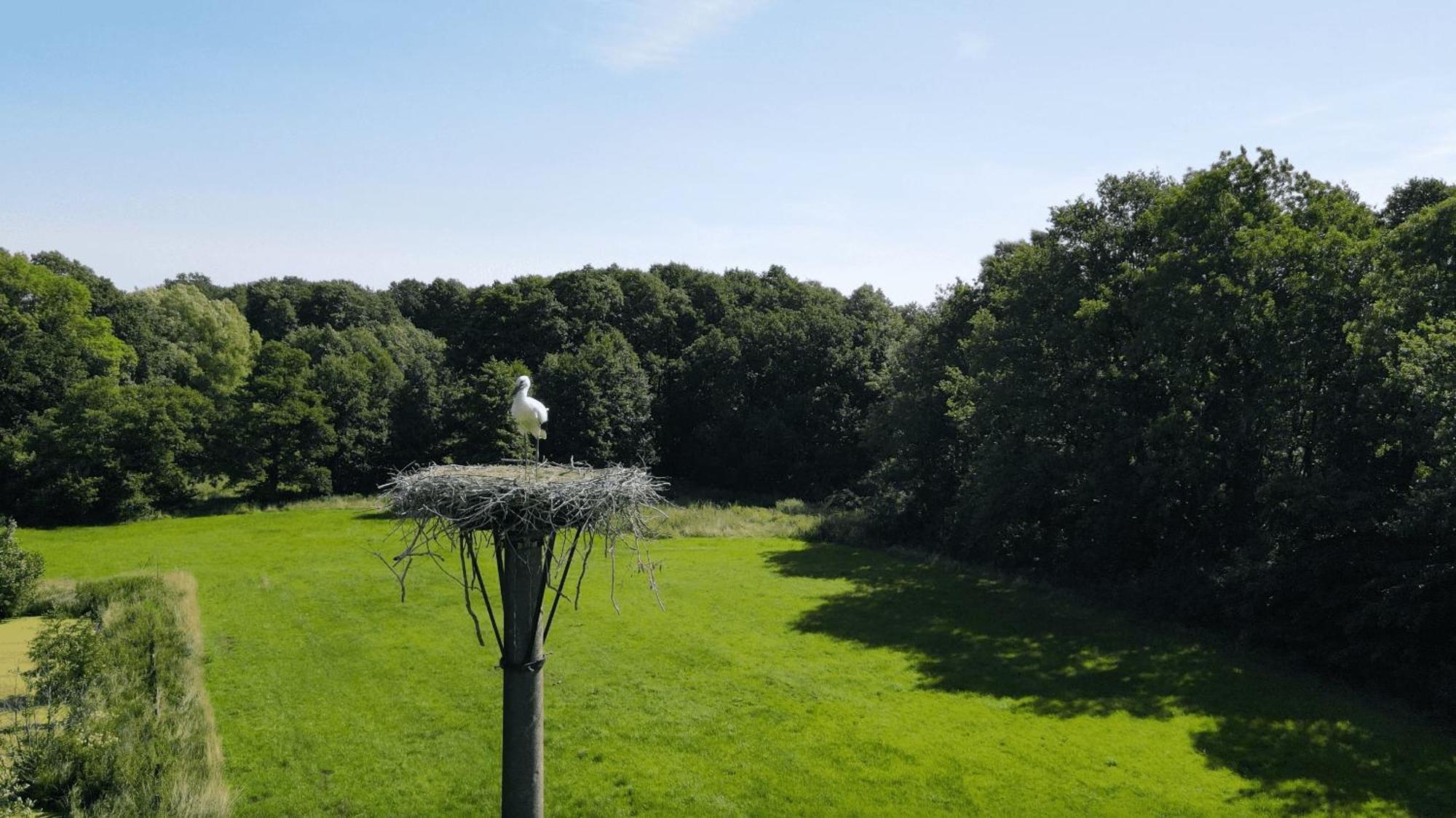 Fuchsbau Hotel Walsrode Kültér fotó