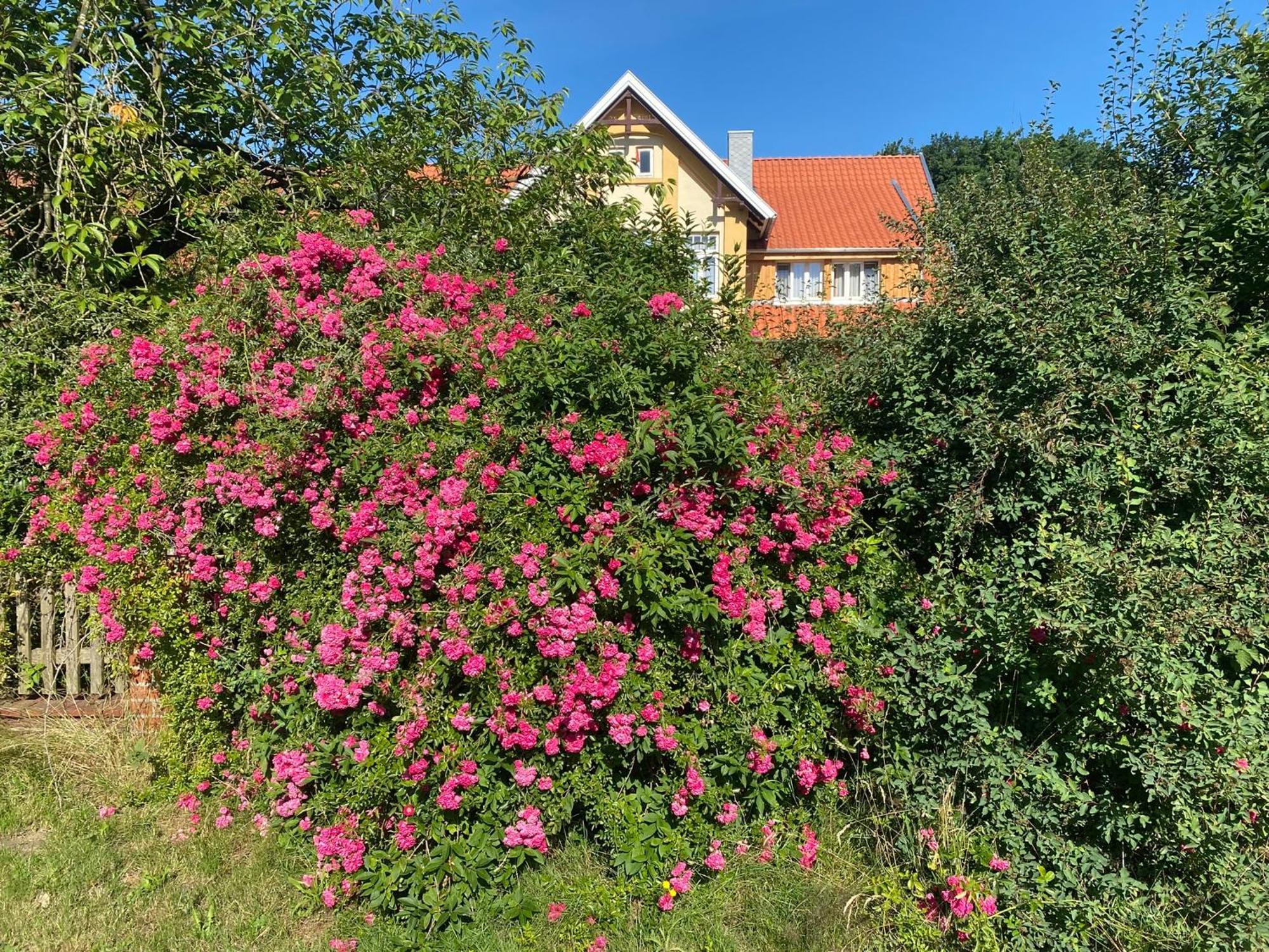 Fuchsbau Hotel Walsrode Kültér fotó